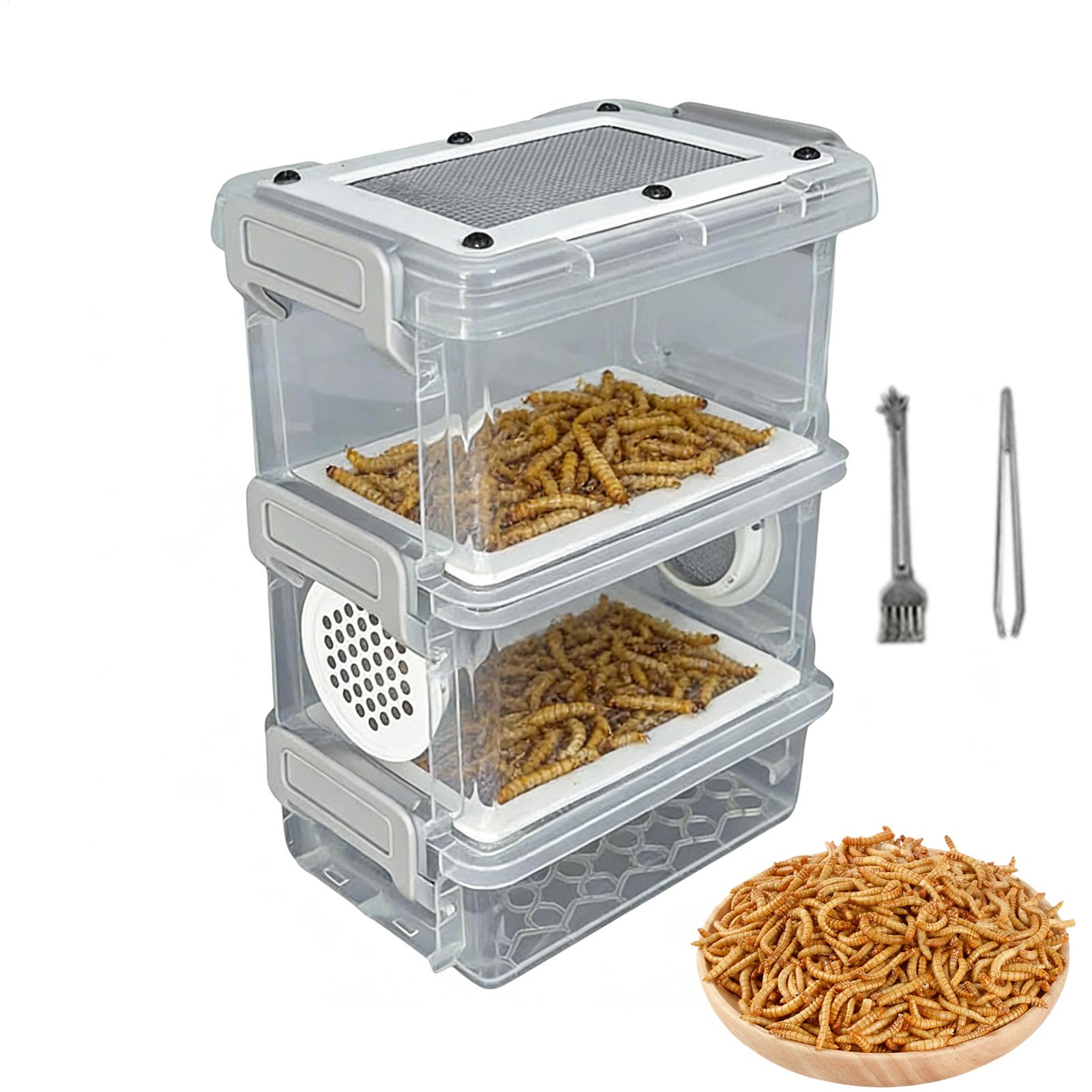 Набор для разведения мучных че – обзор и цена Science Hobbyist